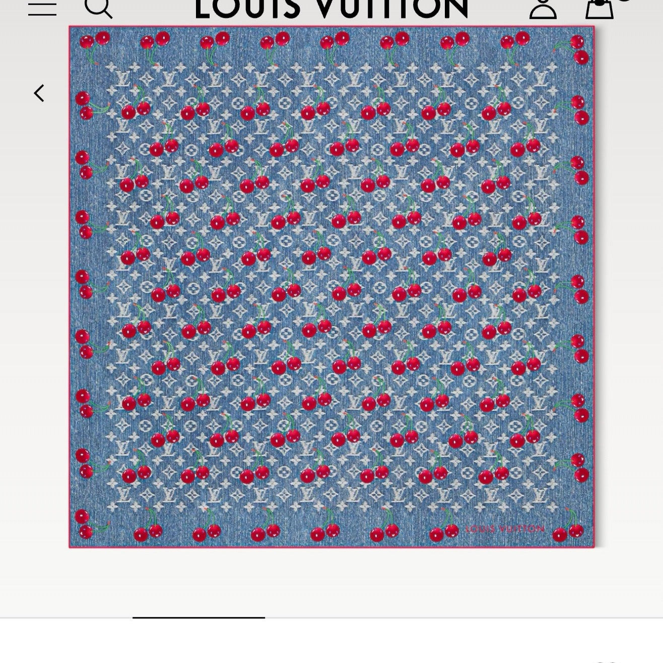 LOU* 25SS scarf