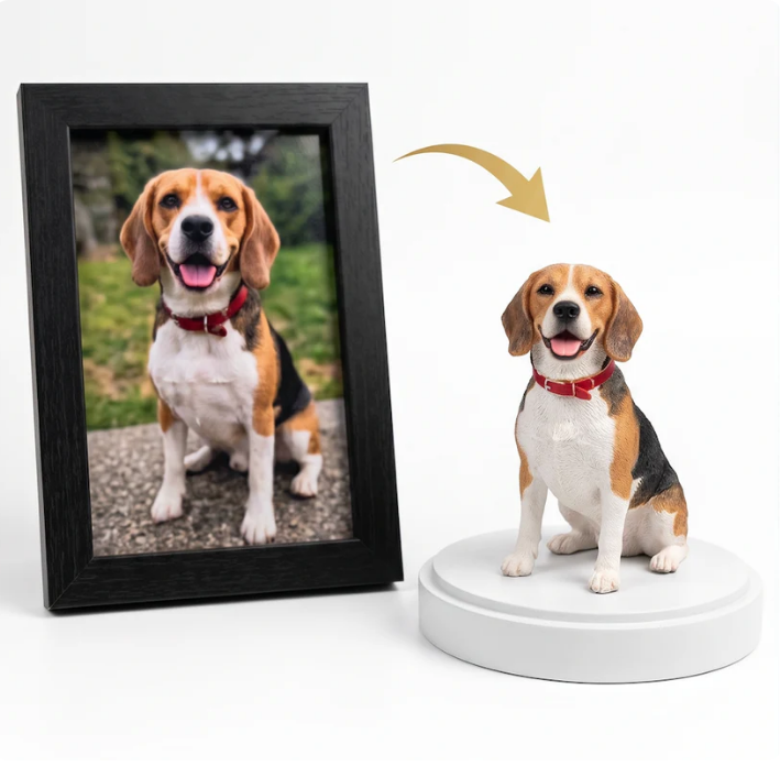 Aelmify  I MemoryFigurines