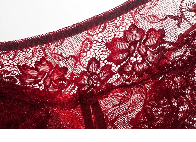 Women’s lace briefs sexy panties