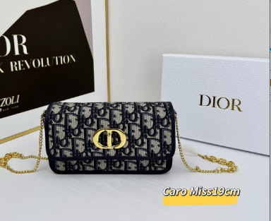 DIO* 25SS Montaigne bag