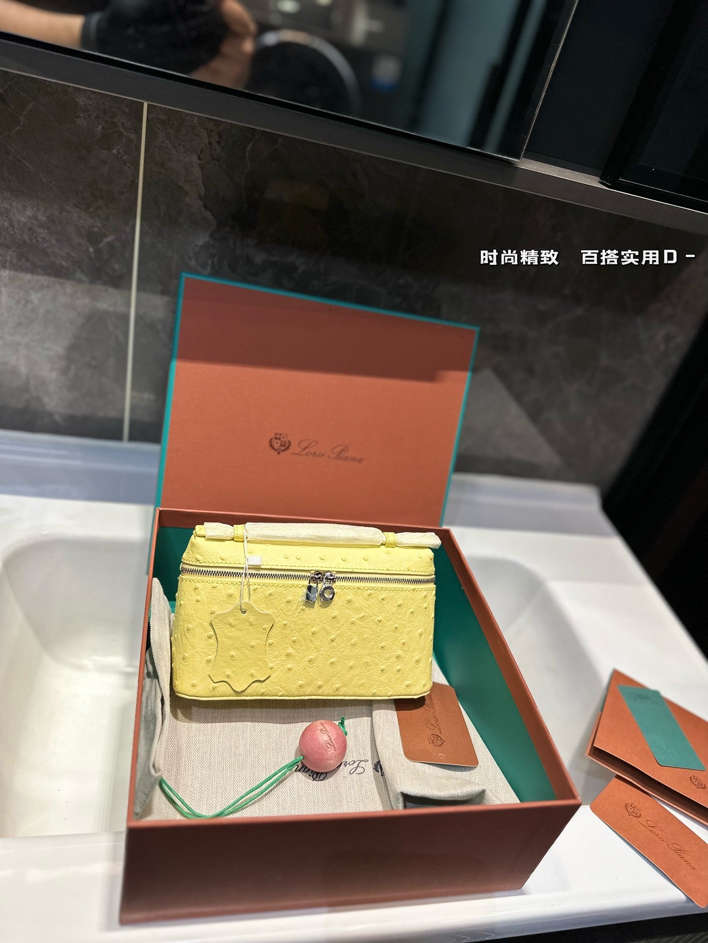 Loro Pia**2024 lunch box bag (multiple colors)