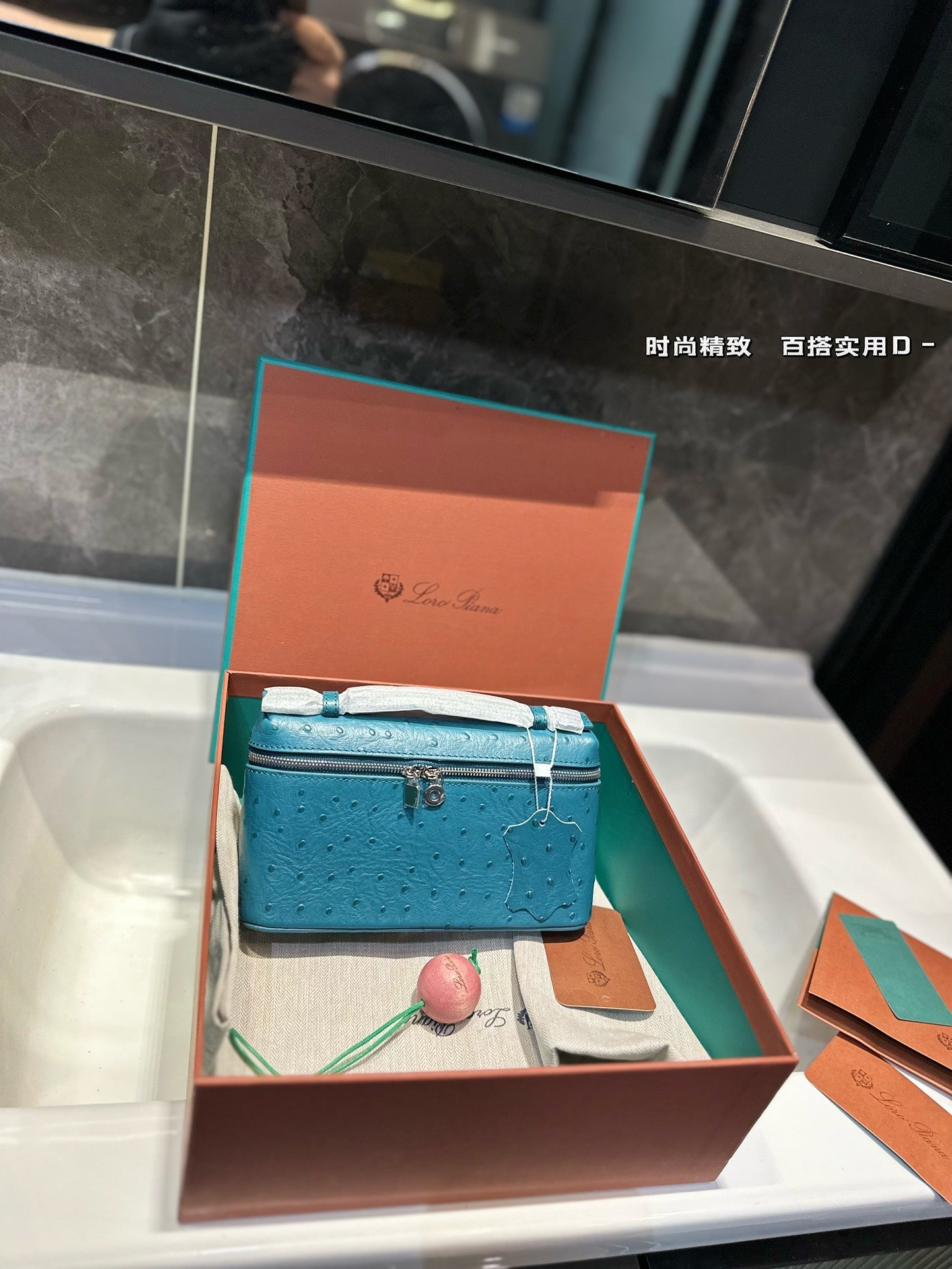 Loro Pia**2024 lunch box bag (multiple colors)