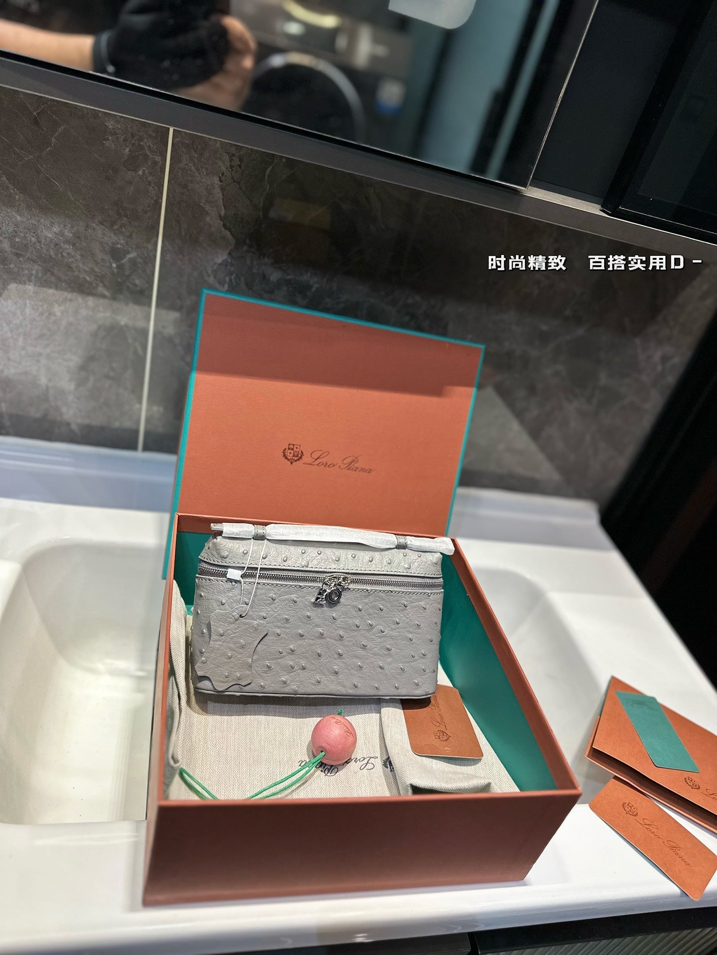 Loro Pia**2024 lunch box bag (multiple colors)