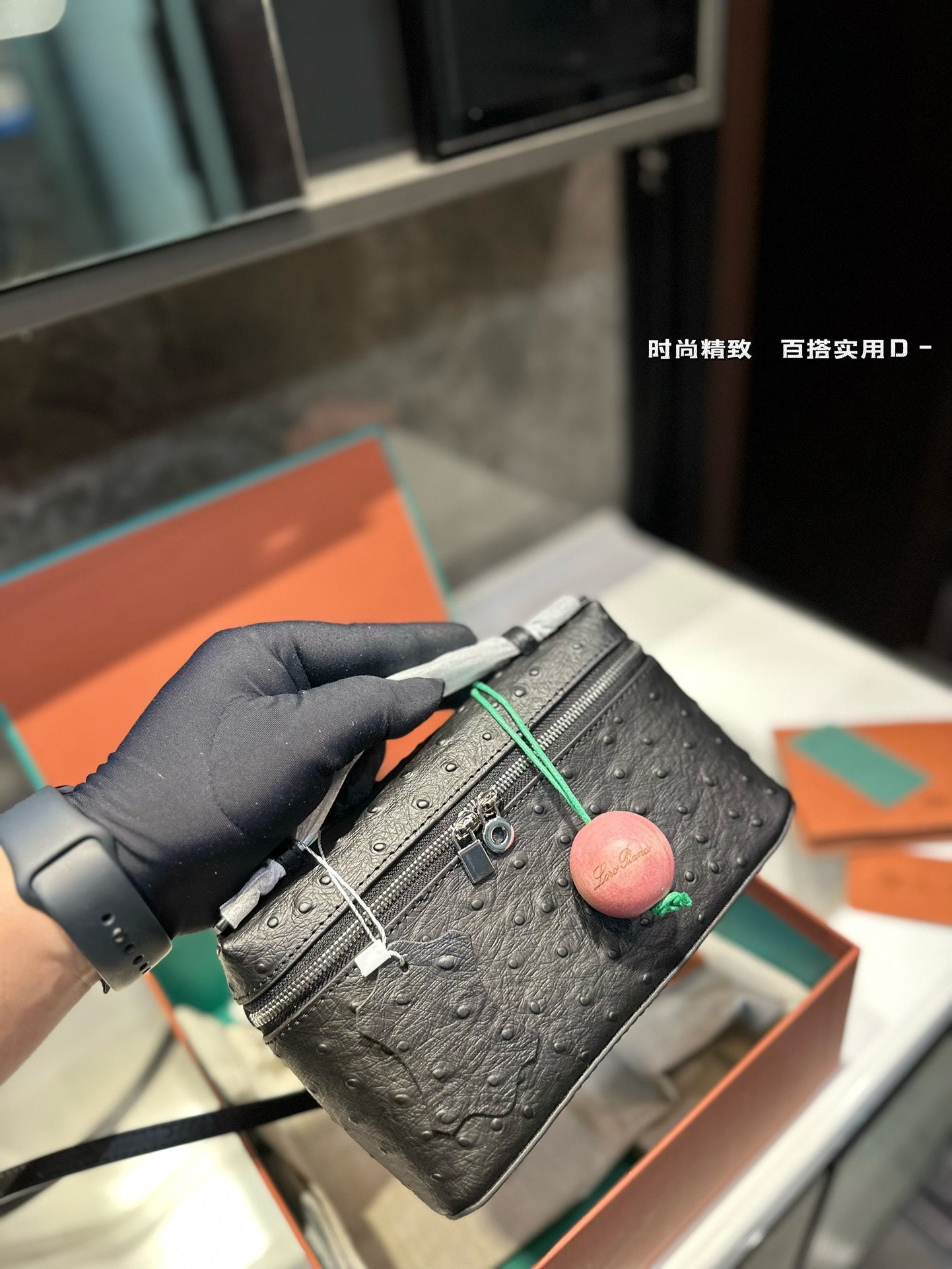 Loro Pia**2024 lunch box bag (multiple colors)