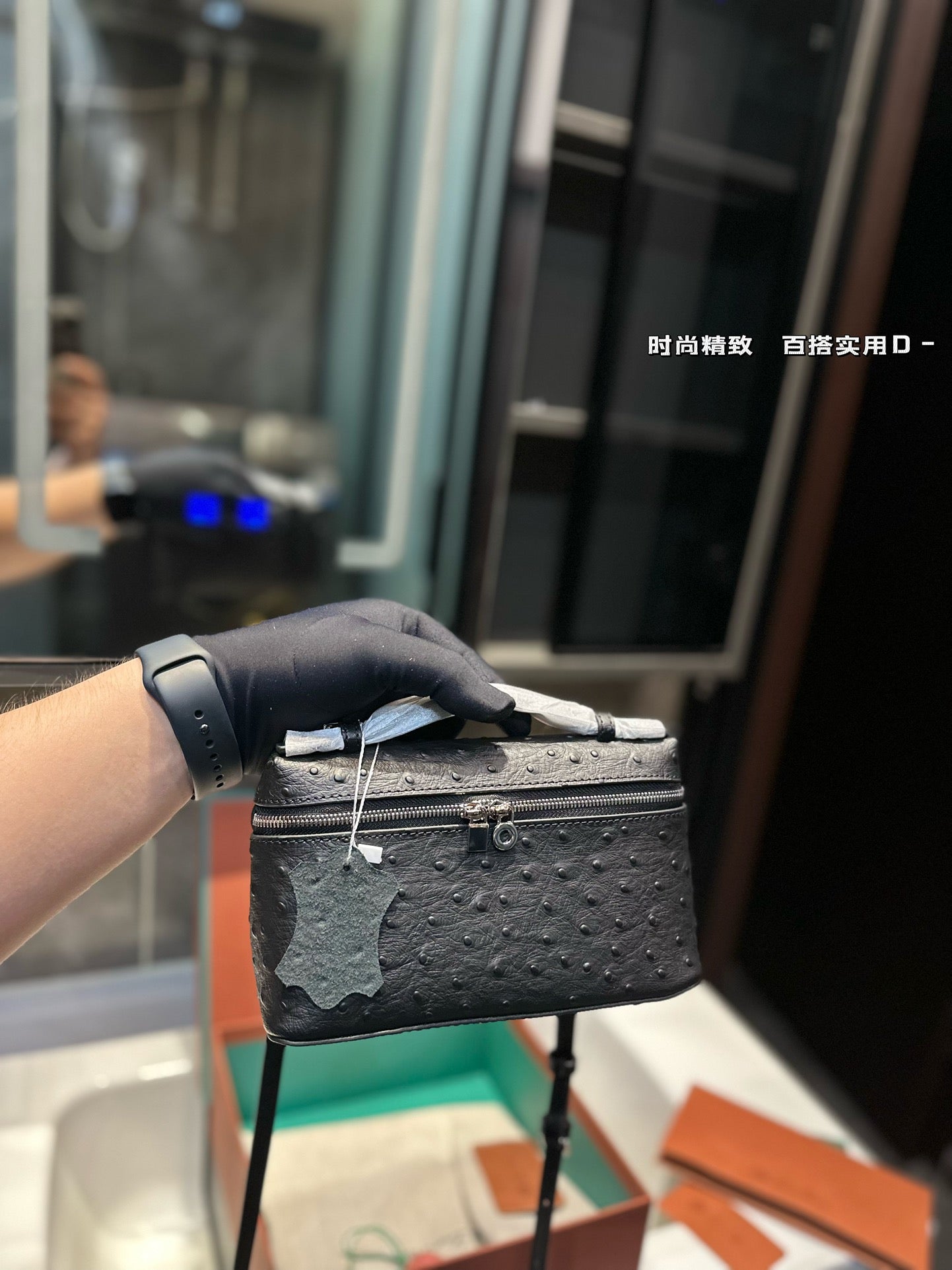 Loro Pia**2024 lunch box bag (multiple colors)