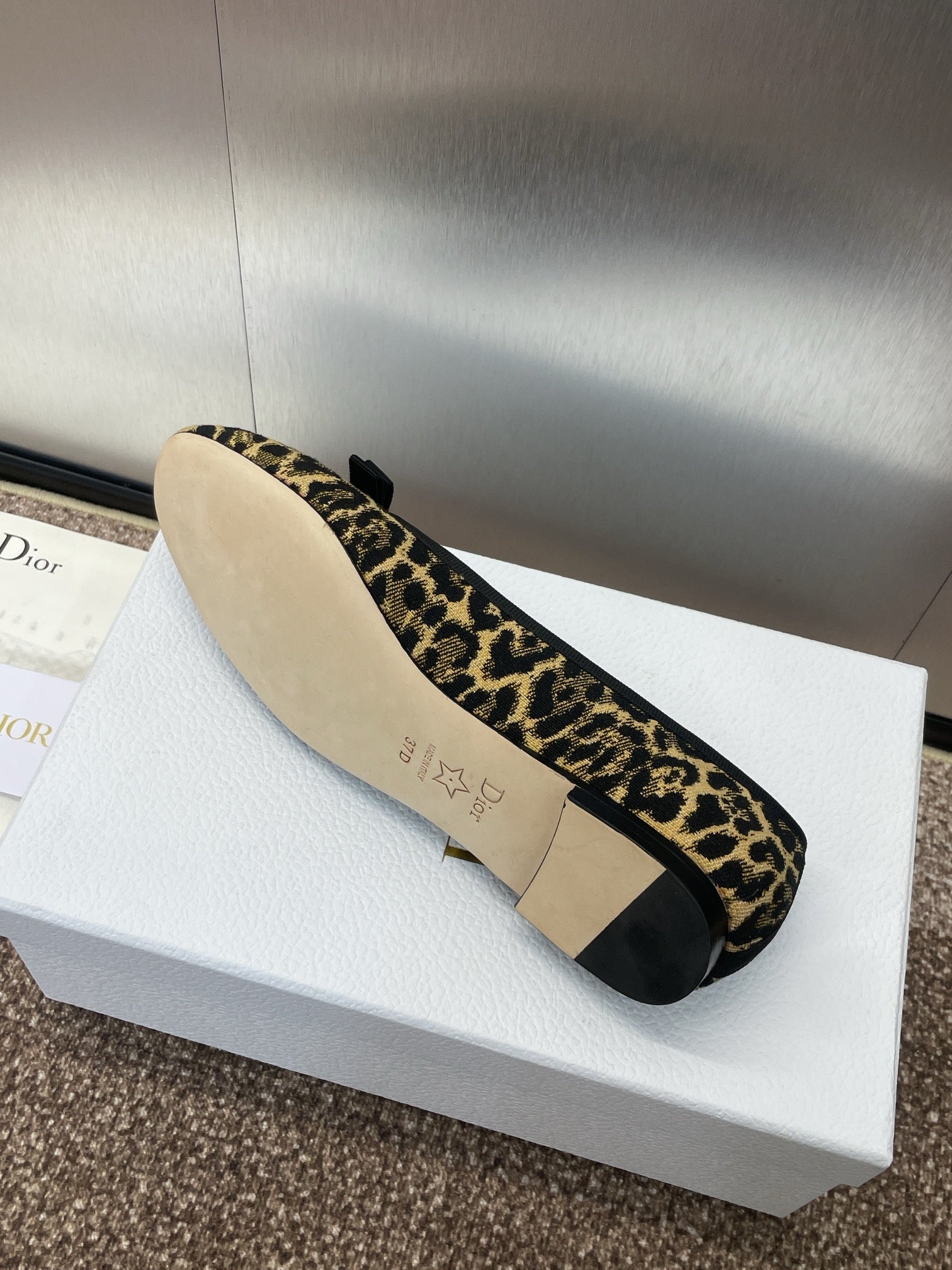 D*or 2024 Early Spring Haute Couture Collection New Iconic Electric Embroidery Raglan Pattern Ballet Shoes  VIP 1:1